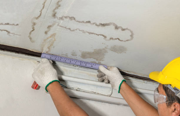 Reliable Mold Remediation contractor in Harrison, ME by Water Damage Irwin
